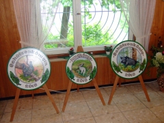 2010_0612(012)